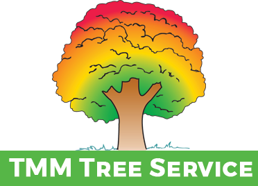 TMM Tree Service